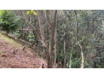 VENDO CASA EN SANTA ELENA V LA PALMA
