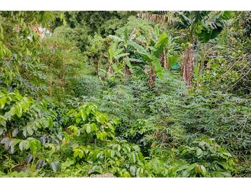 FINCA A BORDE CARRETERA_ EN VENTA _SASAIMA