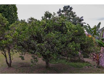 FINCA A BORDE CARRETERA_ EN VENTA _SASAIMA