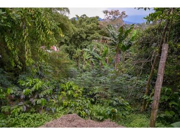 FINCA A BORDE CARRETERA_ EN VENTA _SASAIMA