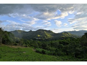FINCA 11.8 HAS EN VENTA SASAIMA VILLETA