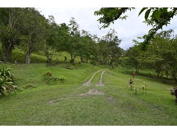 FINCA 11.8 HAS EN VENTA SASAIMA VILLETA