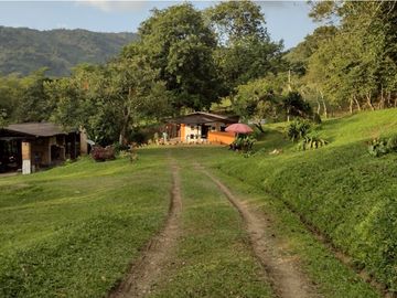 FINCA 11.8 HAS EN VENTA SASAIMA VILLETA