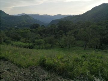 FINCA 11.8 HAS EN VENTA SASAIMA VILLETA