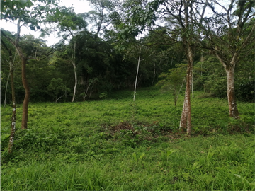 FINCA 11.8 HAS EN VENTA SASAIMA VILLETA
