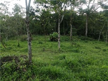 FINCA 11.8 HAS EN VENTA SASAIMA VILLETA