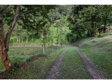 FINCA 11.8 HAS EN VENTA SASAIMA VILLETA