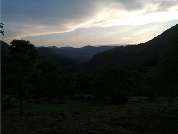 FINCA 11.8 HAS EN VENTA SASAIMA VILLETA