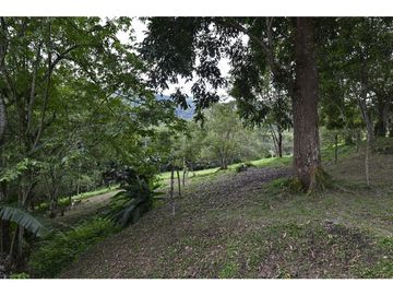 FINCA 11.8 HAS EN VENTA SASAIMA VILLETA