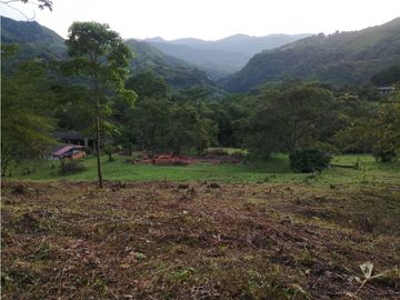 FINCA 11.8 HAS EN VENTA SASAIMA VILLETA