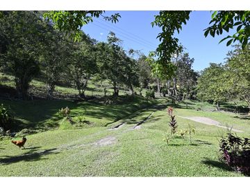 FINCA 11.8 HAS EN VENTA SASAIMA VILLETA
