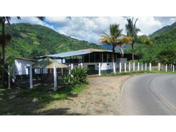 Finca En Produccion De Citricos A La Venta Genova Quindio