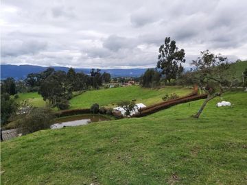 FINCA LA ESPERANZA