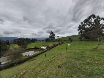 FINCA LA ESPERANZA