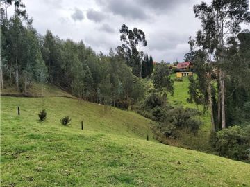 FINCA LA ESPERANZA