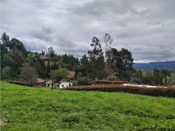 FINCA LA ESPERANZA