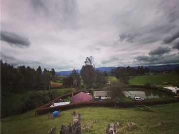 FINCA LA ESPERANZA