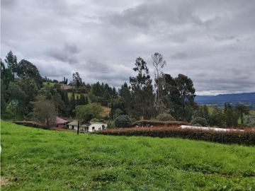 FINCA LA ESPERANZA