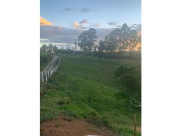 LUXA VENDE CASA CAMPESTRER EN SECTOR PROVITEC, VA SANTA ROSA
