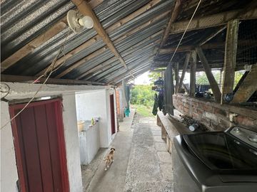 Se Vende Finca Sembrada En Aguacate Semil