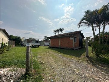 Se Vende Finca Sembrada En Aguacate Semil