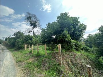 Se Vende Finca Sembrada En Aguacate Semil