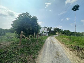 Se Vende Finca Sembrada En Aguacate Semil