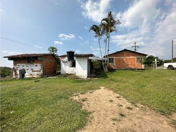 Se Vende Finca Sembrada En Aguacate Semil