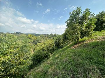 Se Vende Finca Sembrada En Aguacate Semil