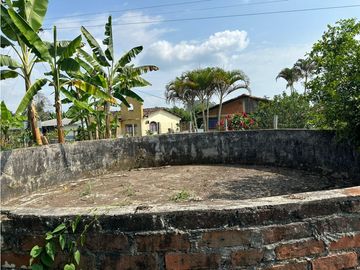 Se Vende Finca Sembrada En Aguacate Semil
