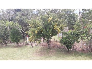 Casa en venta en Silvania con Lote