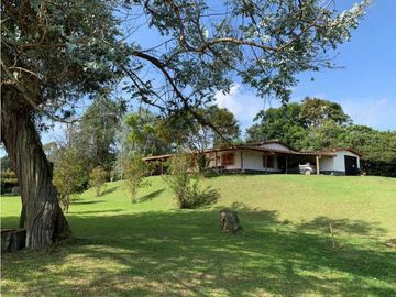 VENDO FINCA RONEGRO LLANO GRANDE 4.800 MTS CH