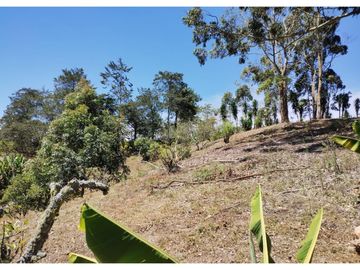 Finca en venta en El Carmen de Viboral