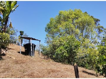 Finca en venta en El Carmen de Viboral
