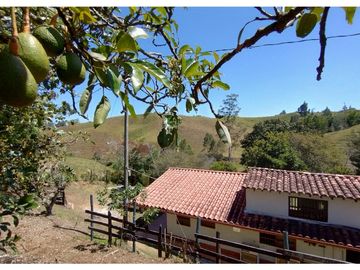 Finca en venta en El Carmen de Viboral