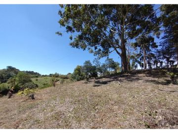 Finca en venta en El Carmen de Viboral