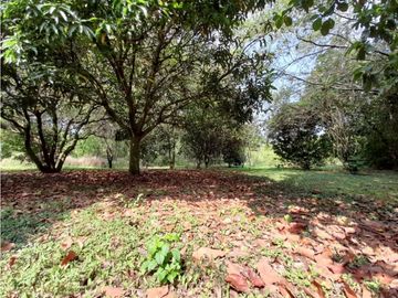 Lote terreno de 30.000 m2 en venta Tienda Nueva Tablones Palmira Valle