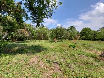 Lote terreno de 30.000 m2 en venta Tienda Nueva Tablones Palmira Valle