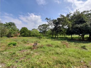 Lote terreno de 30.000 m2 en venta Tienda Nueva Tablones Palmira Valle