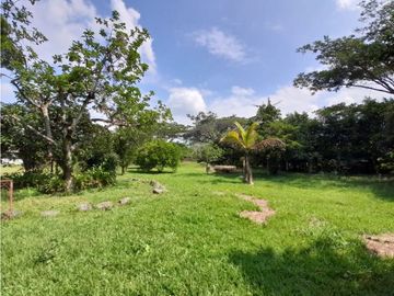 Lote terreno de 30.000 m2 en venta Tienda Nueva Tablones Palmira Valle