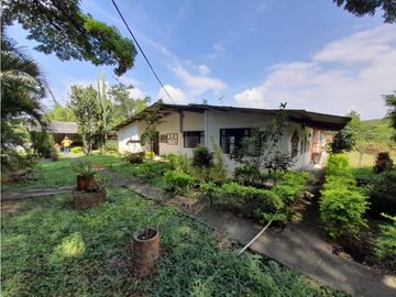 Lote terreno de 30.000 m2 en venta Tienda Nueva Tablones Palmira Valle