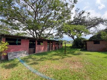 Lote terreno de 30.000 m2 en venta Tienda Nueva Tablones Palmira Valle