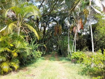 Lote terreno de 30.000 m2 en venta Tienda Nueva Tablones Palmira Valle