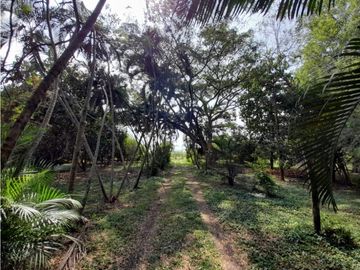 Lote terreno de 30.000 m2 en venta Tienda Nueva Tablones Palmira Valle