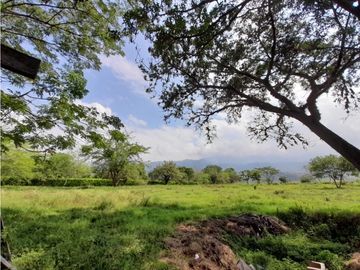 Lote terreno de 30.000 m2 en venta Tienda Nueva Tablones Palmira Valle