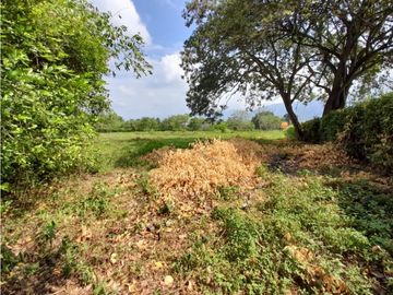 Lote terreno de 30.000 m2 en venta Tienda Nueva Tablones Palmira Valle