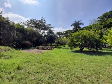 Lote terreno de 30.000 m2 en venta Tienda Nueva Tablones Palmira Valle