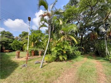 Lote terreno de 30.000 m2 en venta Tienda Nueva Tablones Palmira Valle