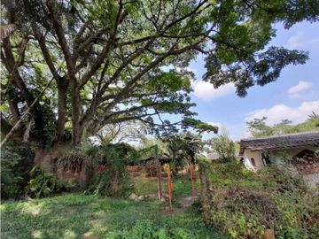 Lote terreno de 30.000 m2 en venta Tienda Nueva Tablones Palmira Valle