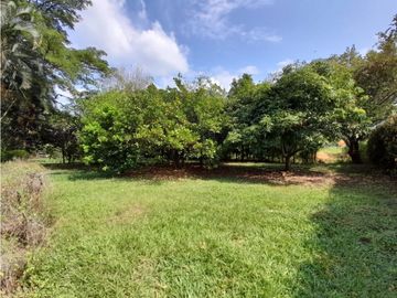 Lote terreno de 30.000 m2 en venta Tienda Nueva Tablones Palmira Valle